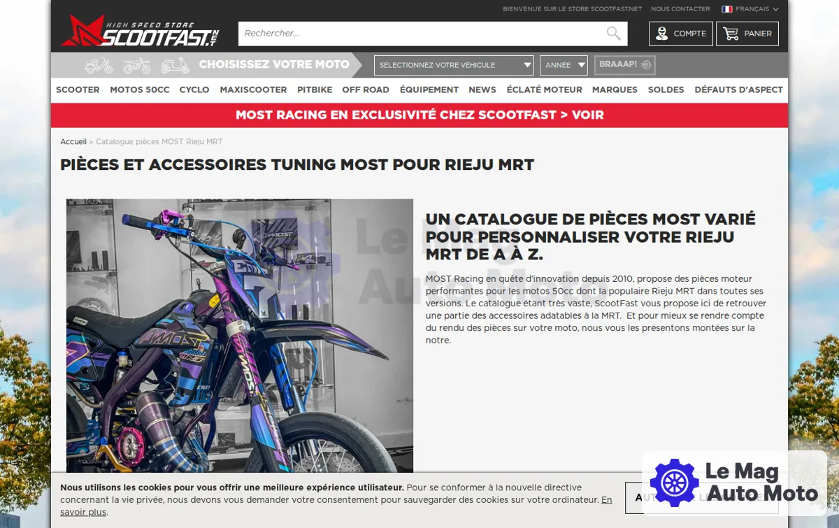 Capture : Catalogue des pièces performances moteur et accessoires tuning pour les Rieju MRT 50cc
